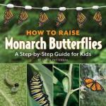 how to raise monarch butterflies carol pasternak